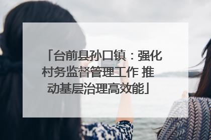 台前县孙口镇：强化村务监督管理工作 推动基层治理高效能