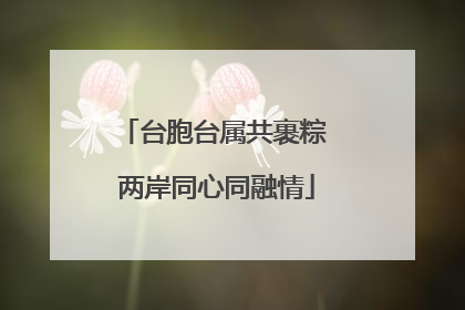 台胞台属共裹粽 两岸同心同融情