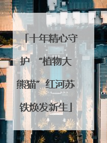 十年精心守护 “植物大熊猫”红河苏铁焕发新生