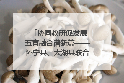 协同教研促发展 五育融合谱新篇——怀宁县、太湖县联合教研活动在月山镇中心学校成功举办