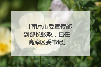 南京市委宣传部副部长张政，已任高淳区委书记