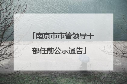 南京市市管领导干部任前公示通告