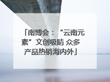 南博会：“云南元素”文创吸睛 众多产品热销海内外