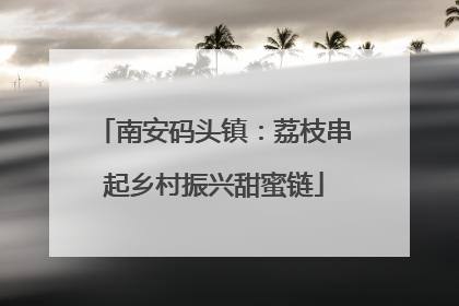 南安码头镇：荔枝串起乡村振兴甜蜜链