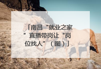 南昌“就业之家”直播带岗让“岗位找人”（图）