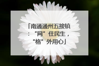 南通通州五接镇：“网”住民生，“格”外用心