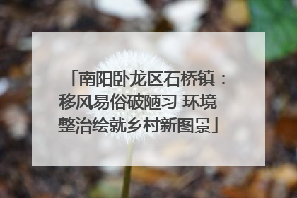 南阳卧龙区石桥镇：移风易俗破陋习 环境整治绘就乡村新图景