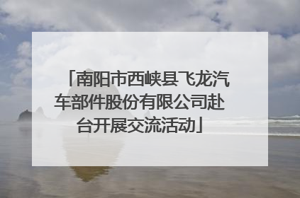 南阳市西峡县飞龙汽车部件股份有限公司赴台开展交流活动
