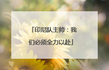 印尼队主帅：我们必须全力以赴