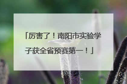 厉害了！南阳市实验学子获全省预赛第一！