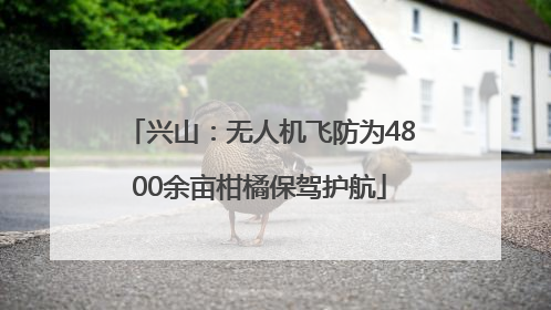 兴山：无人机飞防为4800余亩柑橘保驾护航