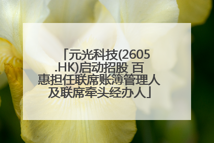 元光科技(2605.HK)启动招股 百惠担任联席账簿管理人及联席牵头经办人