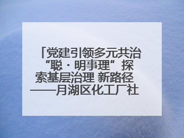 党建引领多元共治 “聪・明事理”探索基层治理 新路径——月湖区化工厂社区新实践