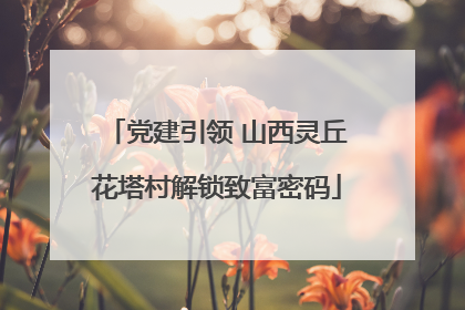党建引领 山西灵丘花塔村解锁致富密码