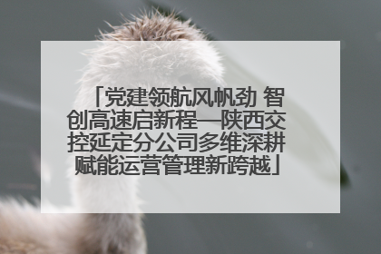 党建领航风帆劲 智创高速启新程—陕西交控延定分公司多维深耕赋能运营管理新跨越