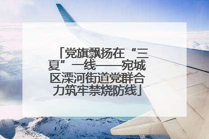 党旗飘扬在“三夏”一线——宛城区溧河街道党群合力筑牢禁烧防线