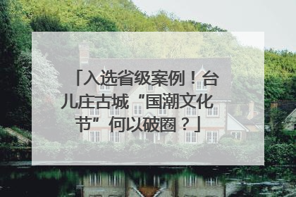 入选省级案例！台儿庄古城“国潮文化节”何以破圈？