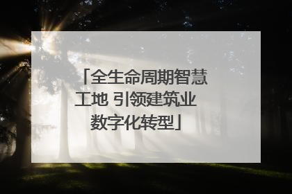 全生命周期智慧工地 引领建筑业数字化转型