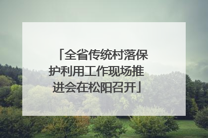 全省传统村落保护利用工作现场推进会在松阳召开