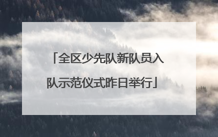 全区少先队新队员入队示范仪式昨日举行