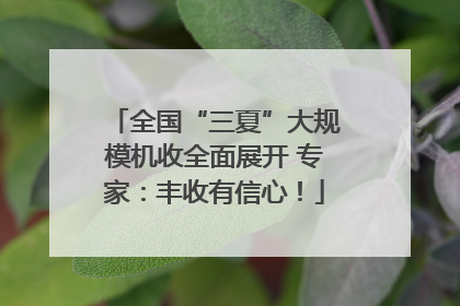 全国“三夏”大规模机收全面展开 专家：丰收有信心！
