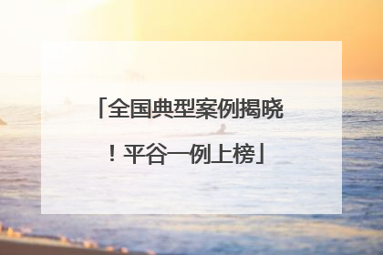 全国典型案例揭晓！平谷一例上榜