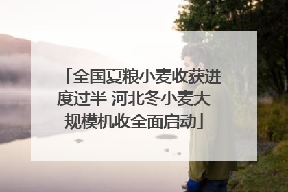 全国夏粮小麦收获进度过半 河北冬小麦大规模机收全面启动