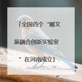全国首个“邮文旅融合创新实验室”在河南成立