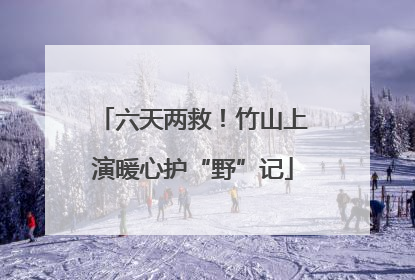 六天两救！竹山上演暖心护“野”记