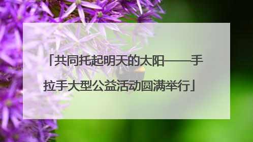 共同托起明天的太阳——手拉手大型公益活动圆满举行