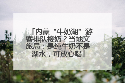 内蒙“牛奶湖”游客排队接奶？当地文旅局：是纯牛奶不是湖水，可放心喝
