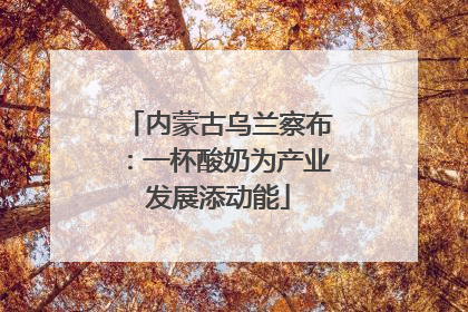 内蒙古乌兰察布：一杯酸奶为产业发展添动能