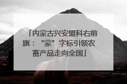 内蒙古兴安盟科右前旗：“蒙”字标引领农畜产品走向全国