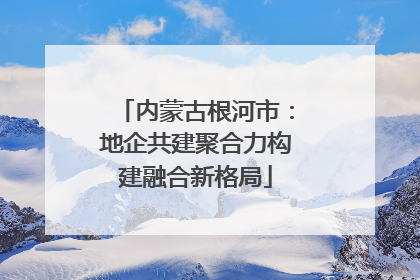 内蒙古根河市：地企共建聚合力构建融合新格局