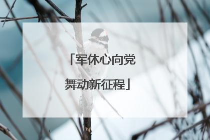 军休心向党 舞动新征程