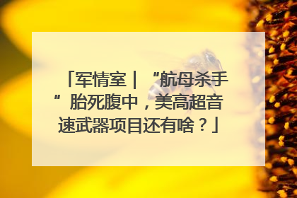 军情室｜“航母杀手”胎死腹中，美高超音速武器项目还有啥？
