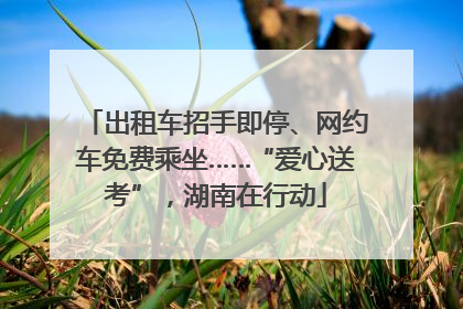 出租车招手即停、网约车免费乘坐……“爱心送考”，湖南在行动