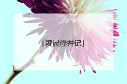 凌晨修井记