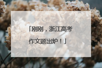 刚刚，浙江高考作文题出炉！