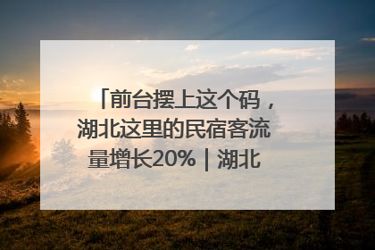 前台摆上这个码，湖北这里的民宿客流量增长20%｜湖北市场监管所的故事