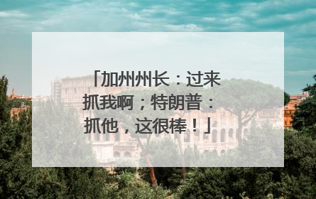 加州州长：过来抓我啊；特朗普：抓他，这很棒！