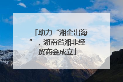 助力“湘企出海”，湖南省湘非经贸商会成立