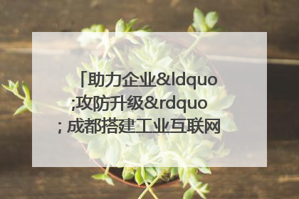 助力企业“攻防升级” 成都搭建工业互联网安全供需对接平台