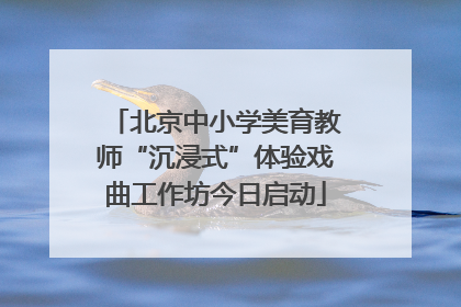 北京中小学美育教师“沉浸式”体验戏曲工作坊今日启动