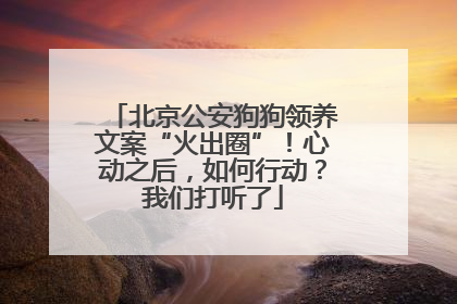 北京公安狗狗领养文案“火出圈”！心动之后，如何行动？我们打听了