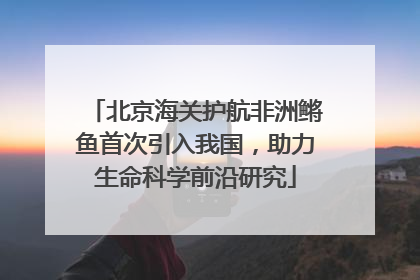 北京海关护航非洲鳉鱼首次引入我国，助力生命科学前沿研究