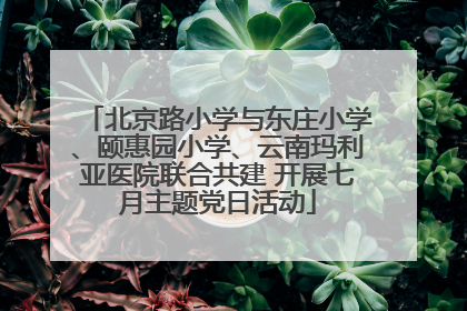 北京路小学与东庄小学、颐惠园小学、云南玛利亚医院联合共建 开展七月主题党日活动