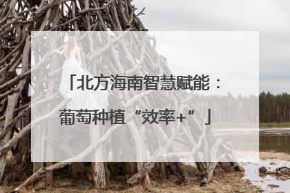 北方海南智慧赋能：葡萄种植“效率+”