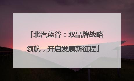 北汽蓝谷：双品牌战略领航，开启发展新征程