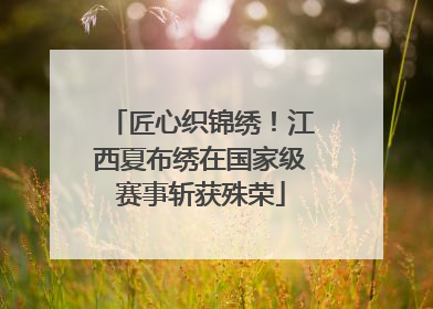 匠心织锦绣！江西夏布绣在国家级赛事斩获殊荣